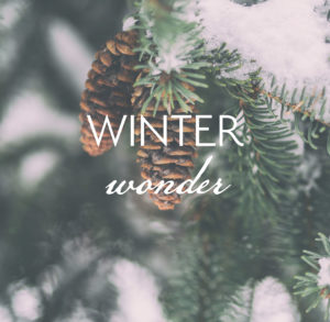 Winter Wonder Promo